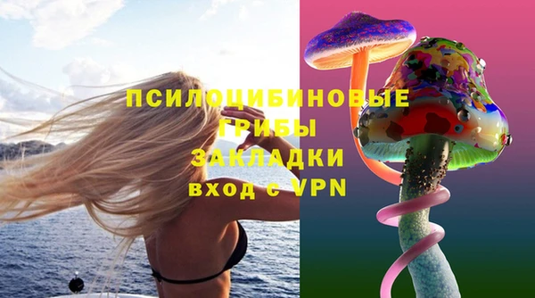 2c-b Алзамай