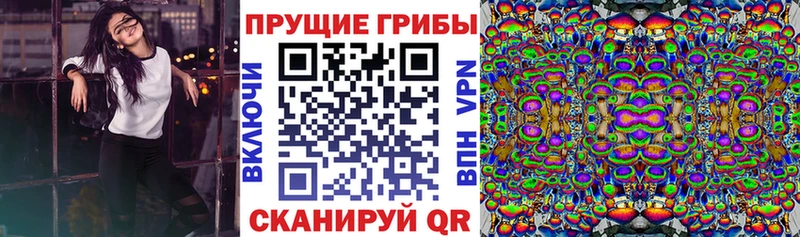 Галлюциногенные грибы Psilocybine cubensis  наркота  Покачи 