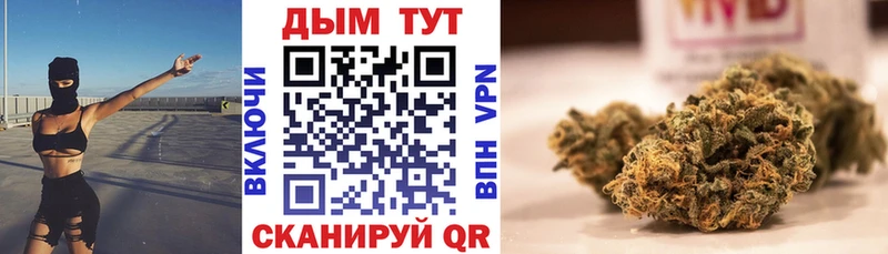 где продают наркотики  Покачи  Шишки марихуана MAZAR 